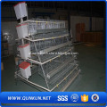 Chicken Cage Management System For Laying Chicks